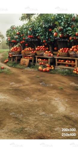 Tło fotograficzne Jesień 3139